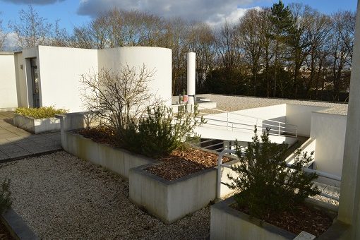 cropped-Villa_Savoye_Dachgarten_small.jpg